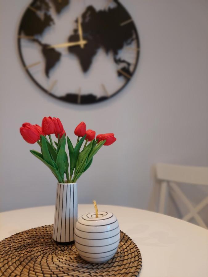 Ozzy Cozy Apartment Zagreb