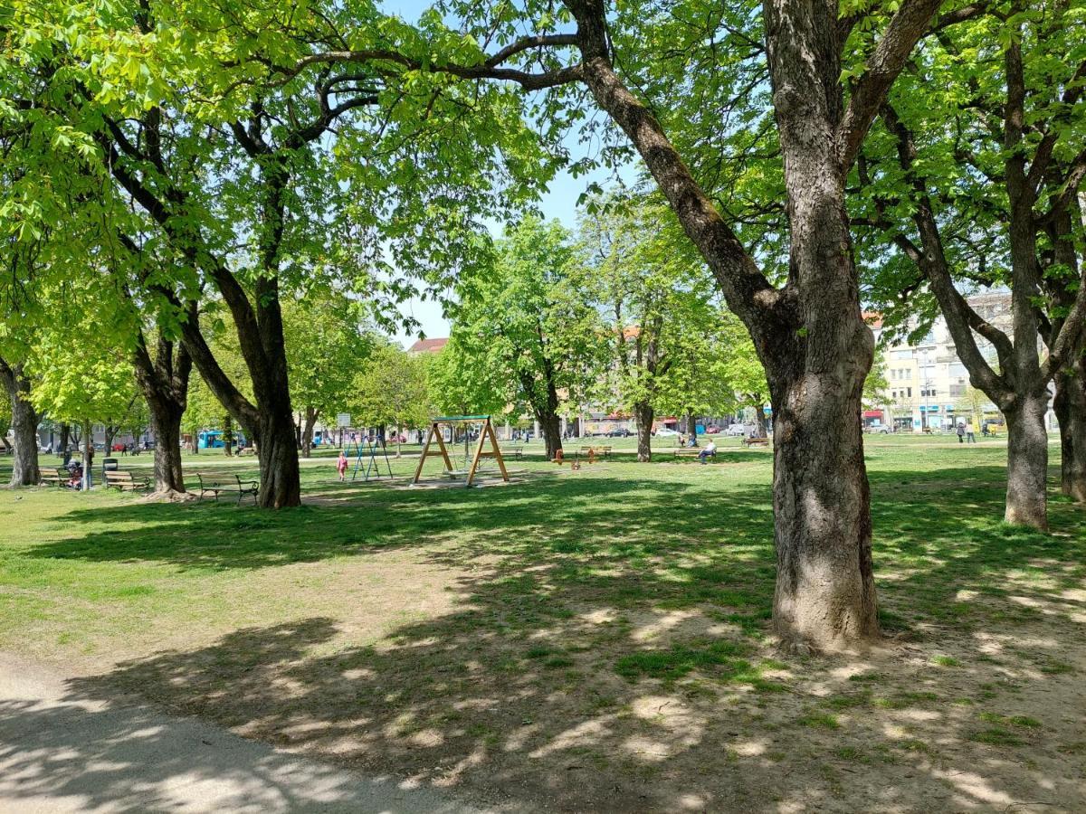 Ozzy Cozy Zagreb