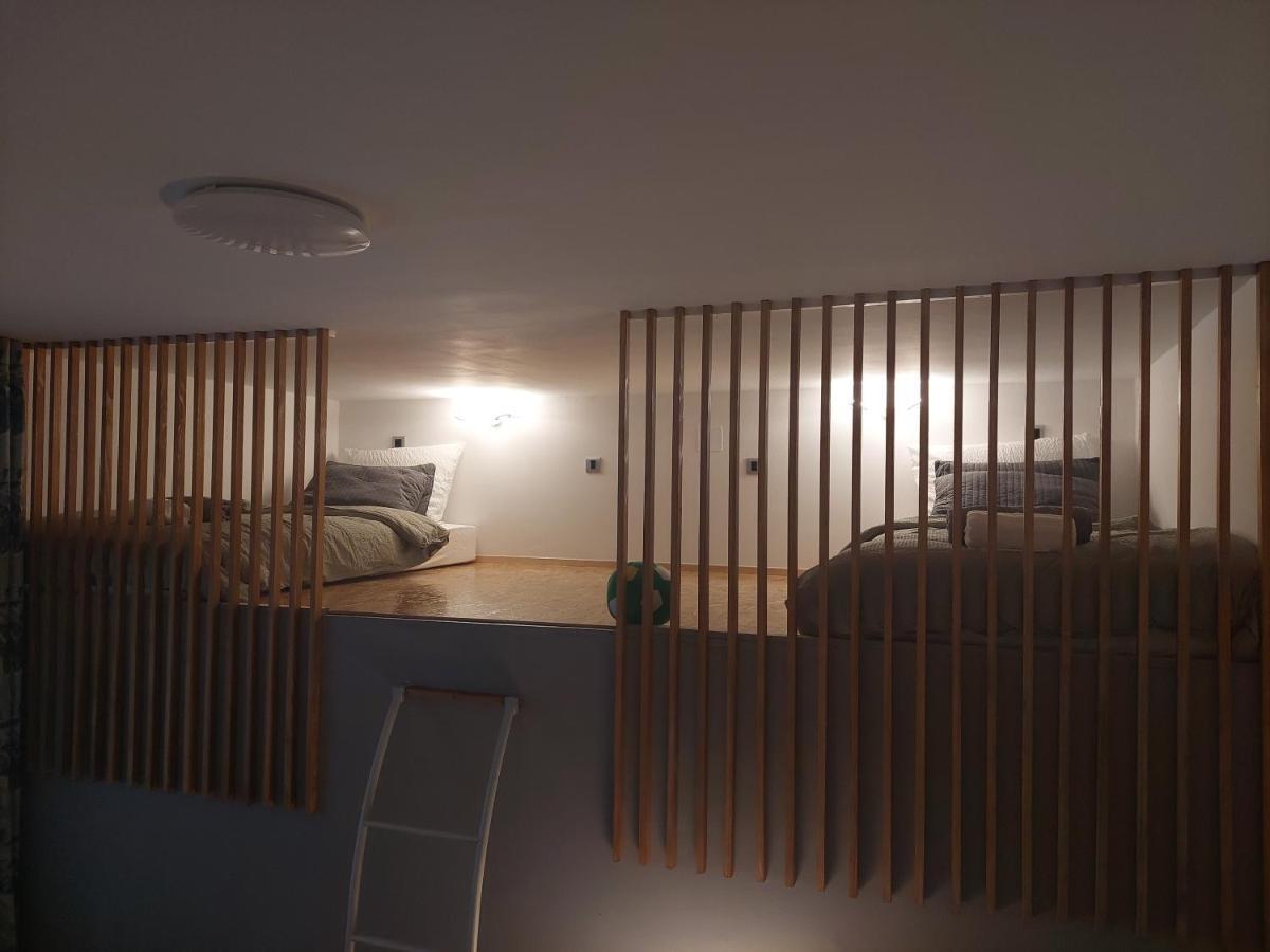 Apartment Ozzy Cozy